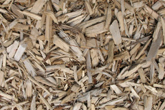 biomass boilers Fleuchary
